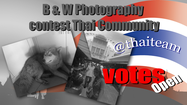 BW Photography votes.png