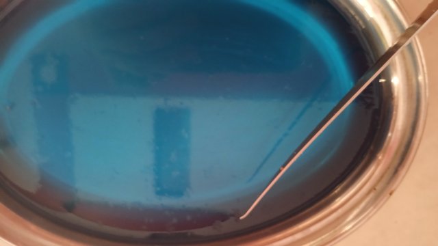1000324934.jpg