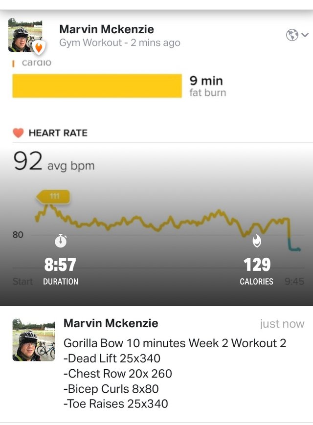 Gorilla Bow Workout Chart