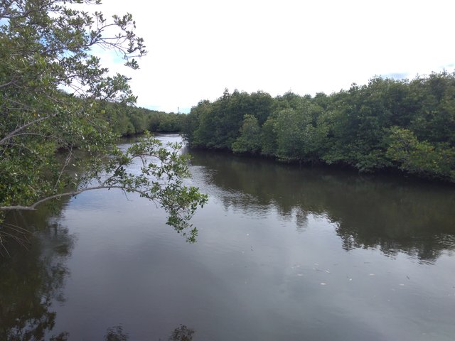 IMG_20211023_151856.jpg