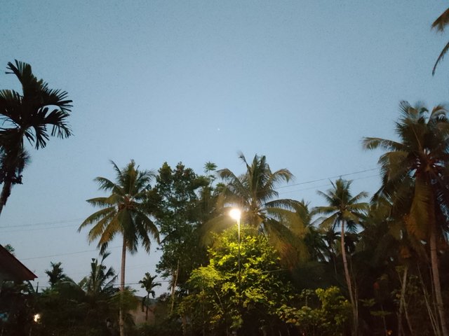 1000034890.jpg