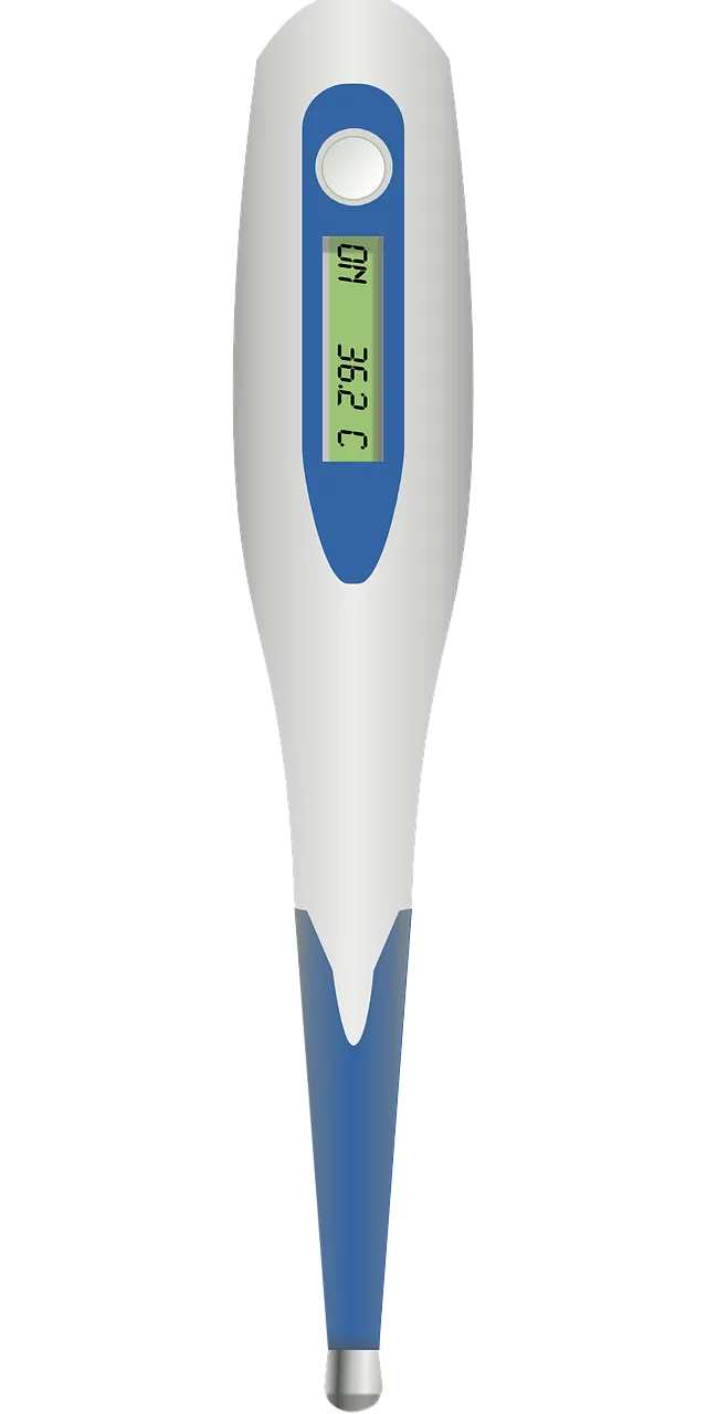 thermometer-36852_1280 (1).webp