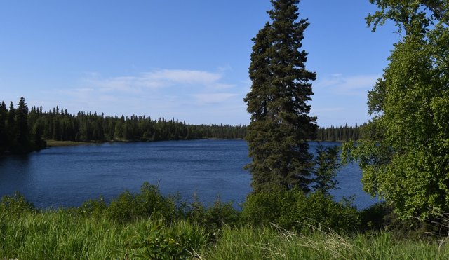 097 6-12 lake along cohoe loop road.jpg