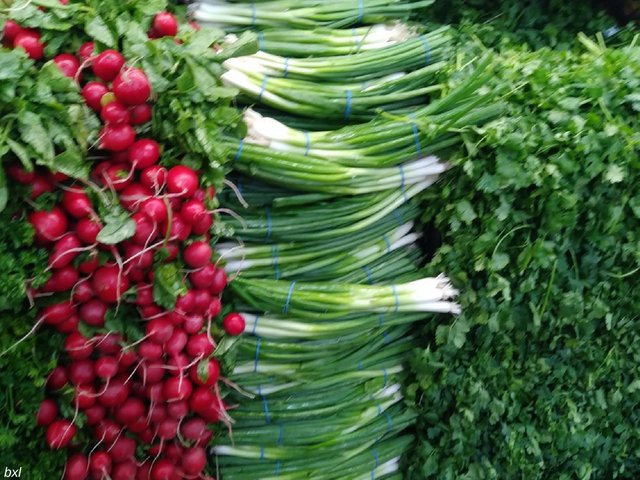 radishes onions cilantro daily food photography bxlphabet.jpg