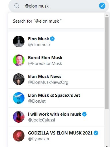 musk search.jpg