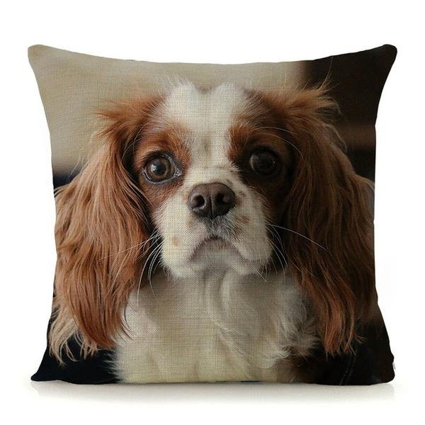 cavalier-king-charles-spaniel-cushion-covers-selection-b13.jpg