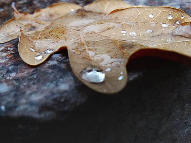 1ddDSC02624.JPG