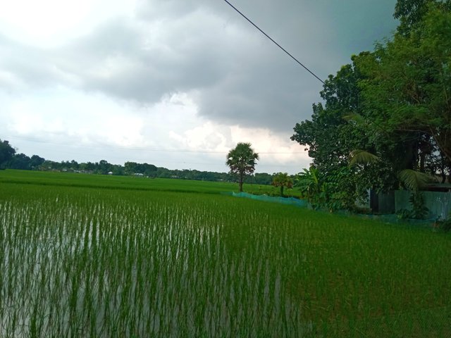 IMG_20250916_151206.jpg