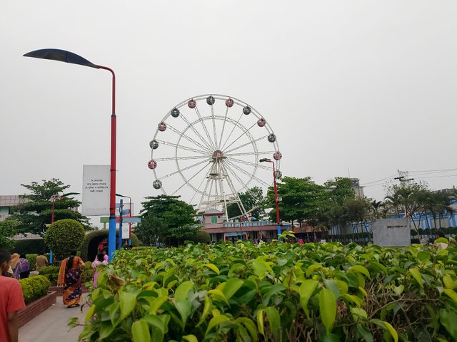1000015962.jpg