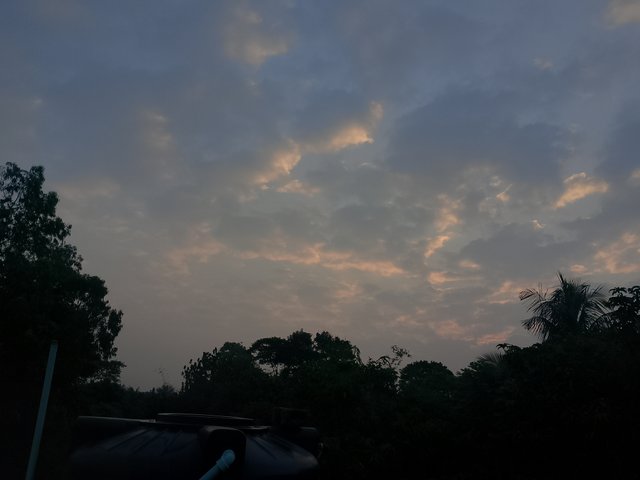 1000031027.jpg