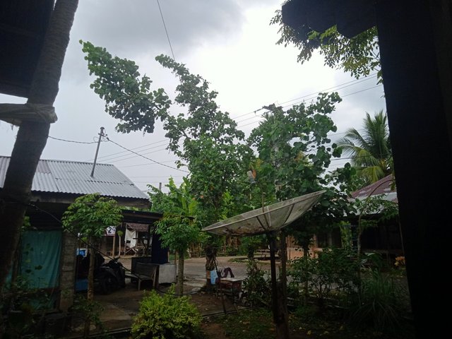 IMG20250712151625.jpg