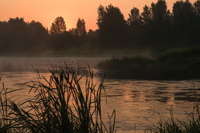 DSC02356.jpg