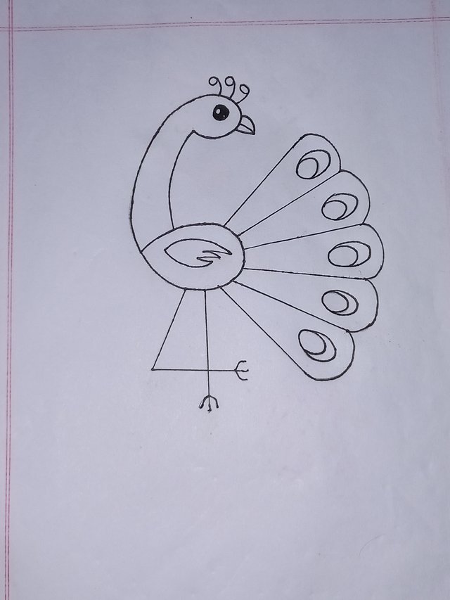20250624_120621.jpg