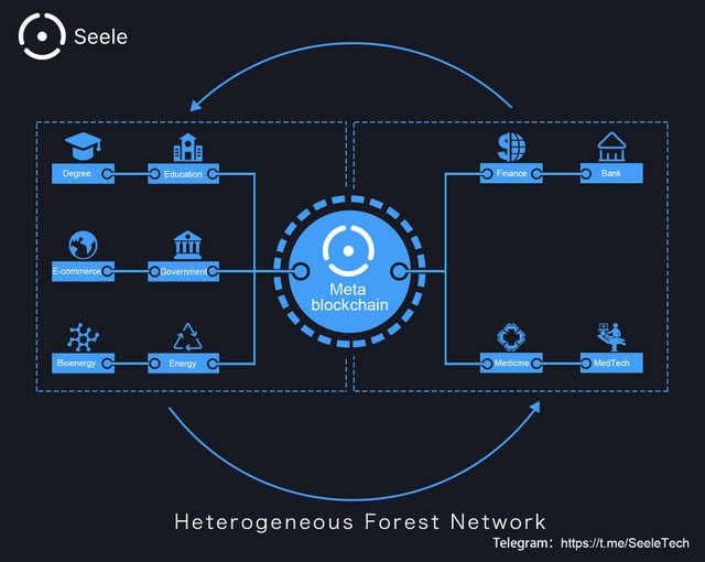 Seele-Forest-network.jpg