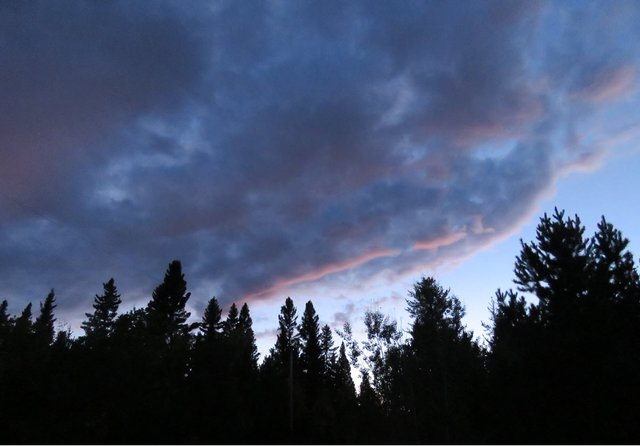 pink from the sunset soften clouds over the spruce silloquettes.JPG