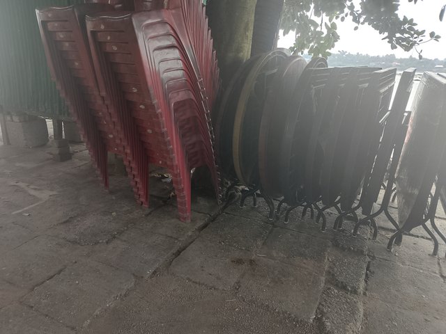 1000046582.jpg
