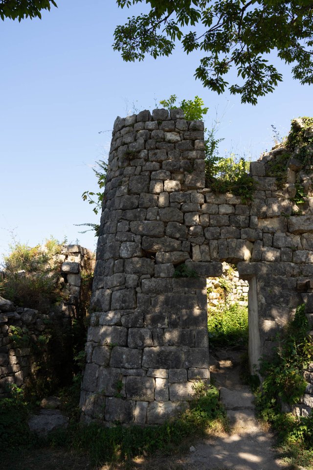 DSC07004.jpg