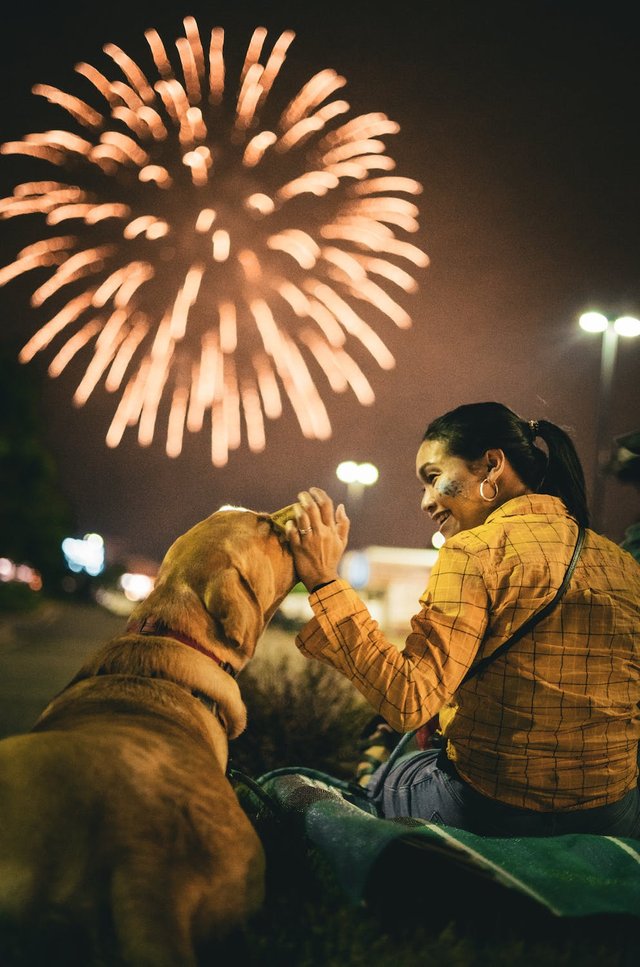 free-photo-of-woman-sitting-and-patting-dog-with-fireworks-behind.jpeg