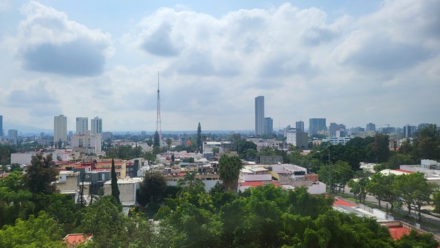 1000088240.jpg