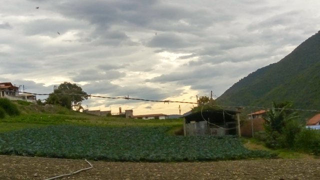 IMG_20250609_083317_032.jpg