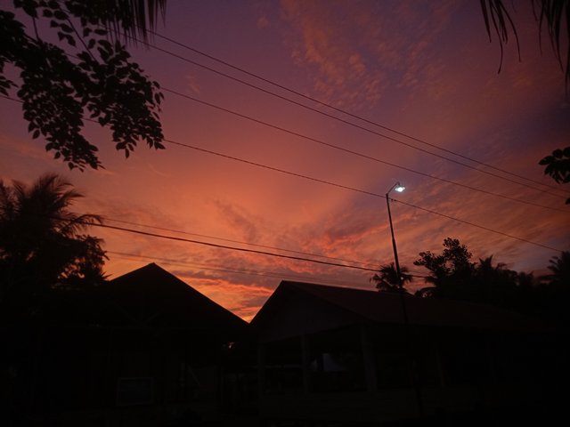 IMG20250519184529.jpg