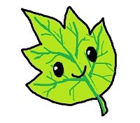 leaf.jpg