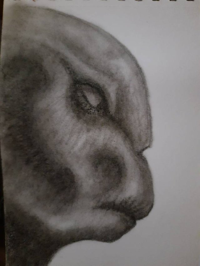 20250927_104842.jpg