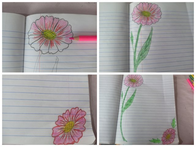 Collage_20250918_110405.jpg