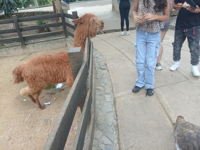 1000808326.jpg