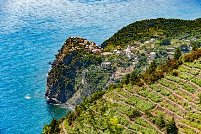 Corniglia (2).jpg