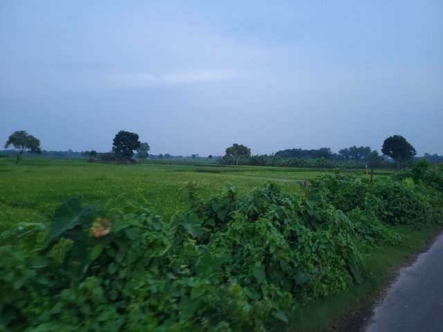 20250803_183700.jpg
