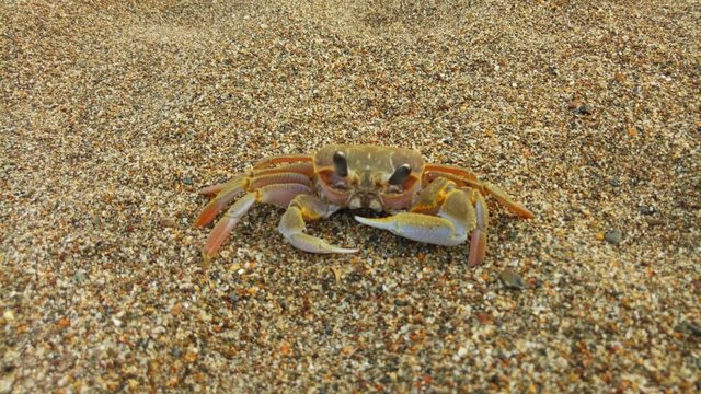 IMG_20210909_193636.jpg