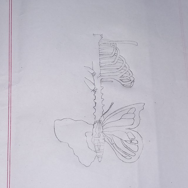 20251004_224923.jpg