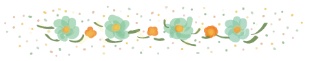 divisor-de-blogs-2.png