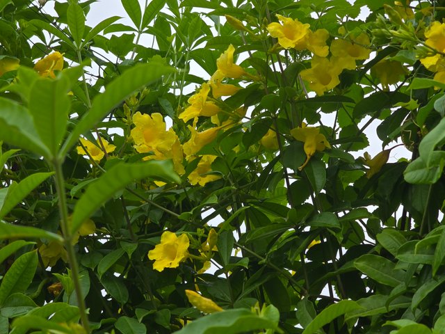 20240702_093400.jpg