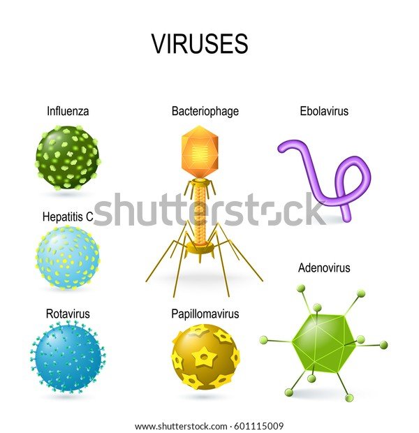 viral-shapes-different-viruses-diagram-600w-601115009.jpg