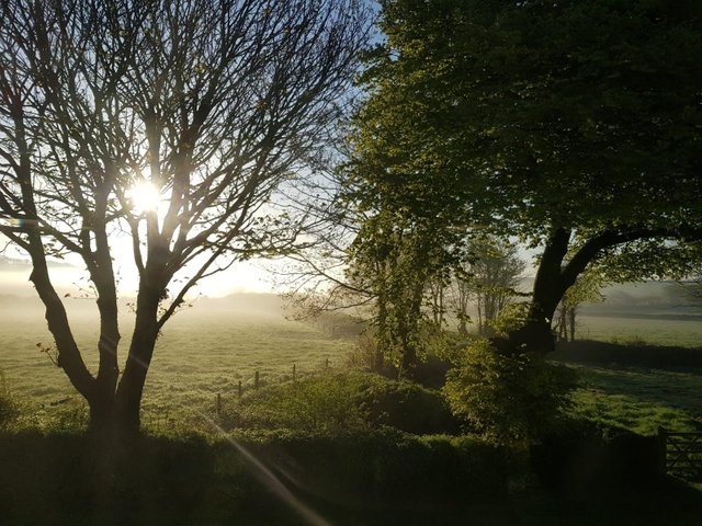 Misty Sunrise.jpg