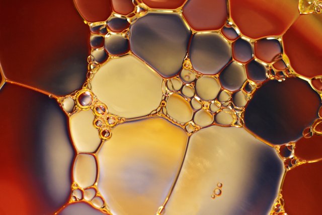 bubbles-chemistry-close-up-220989.jpg