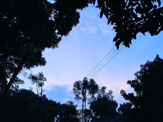 1000013106.jpg