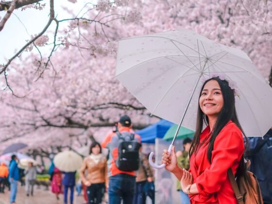 Female-traveler-in-cherry-blossom-festival-in-Jinhae-South-Korea-560x420.jpg