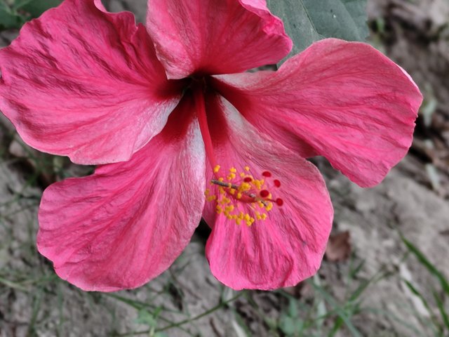 IMG_20250319_170559.jpg