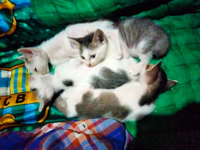 IMG20221026191403.jpg