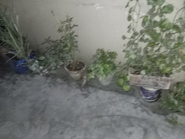 1000040763.jpg