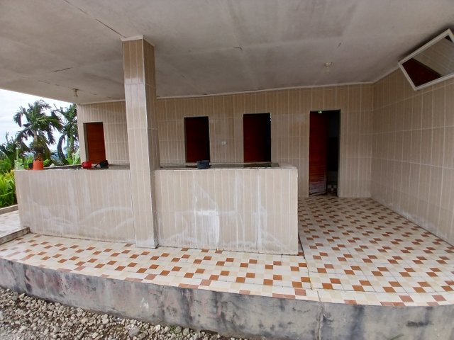 20250712_141247.jpg