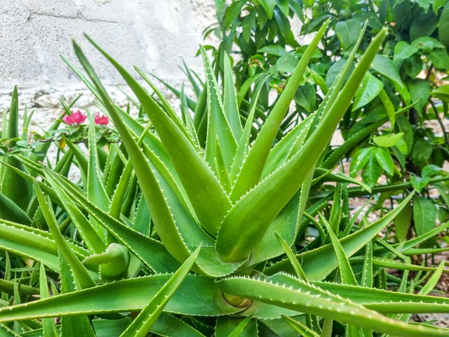 20250628_182349.jpg