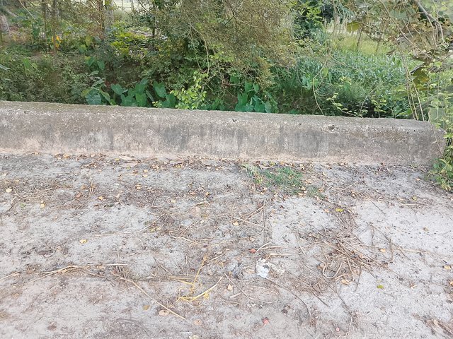 1000043126.jpg