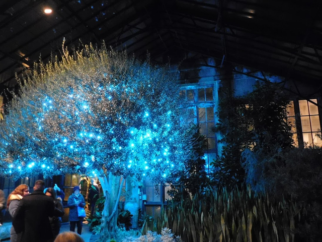 A Visit To See The Holiday Light Exhibit At Longwood Gardens Steemit