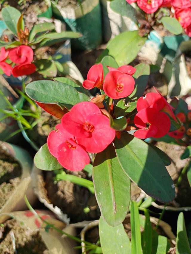 IMG20241120111440.jpg