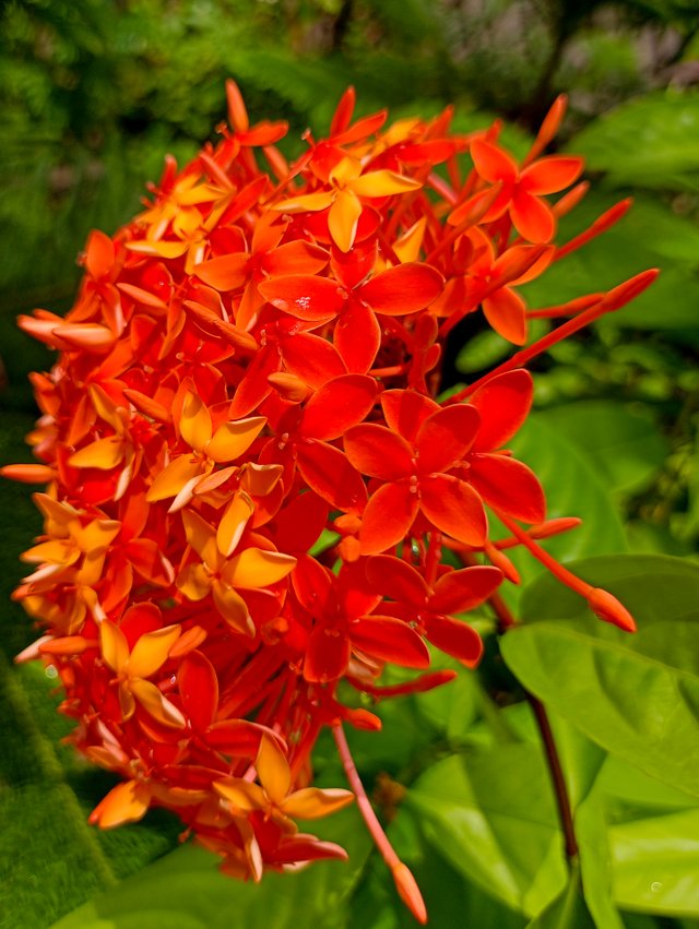 IMG20230814112724.jpg