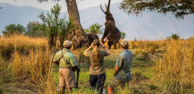 Best Budget Activities to Do on Tanzania Safari.jpeg